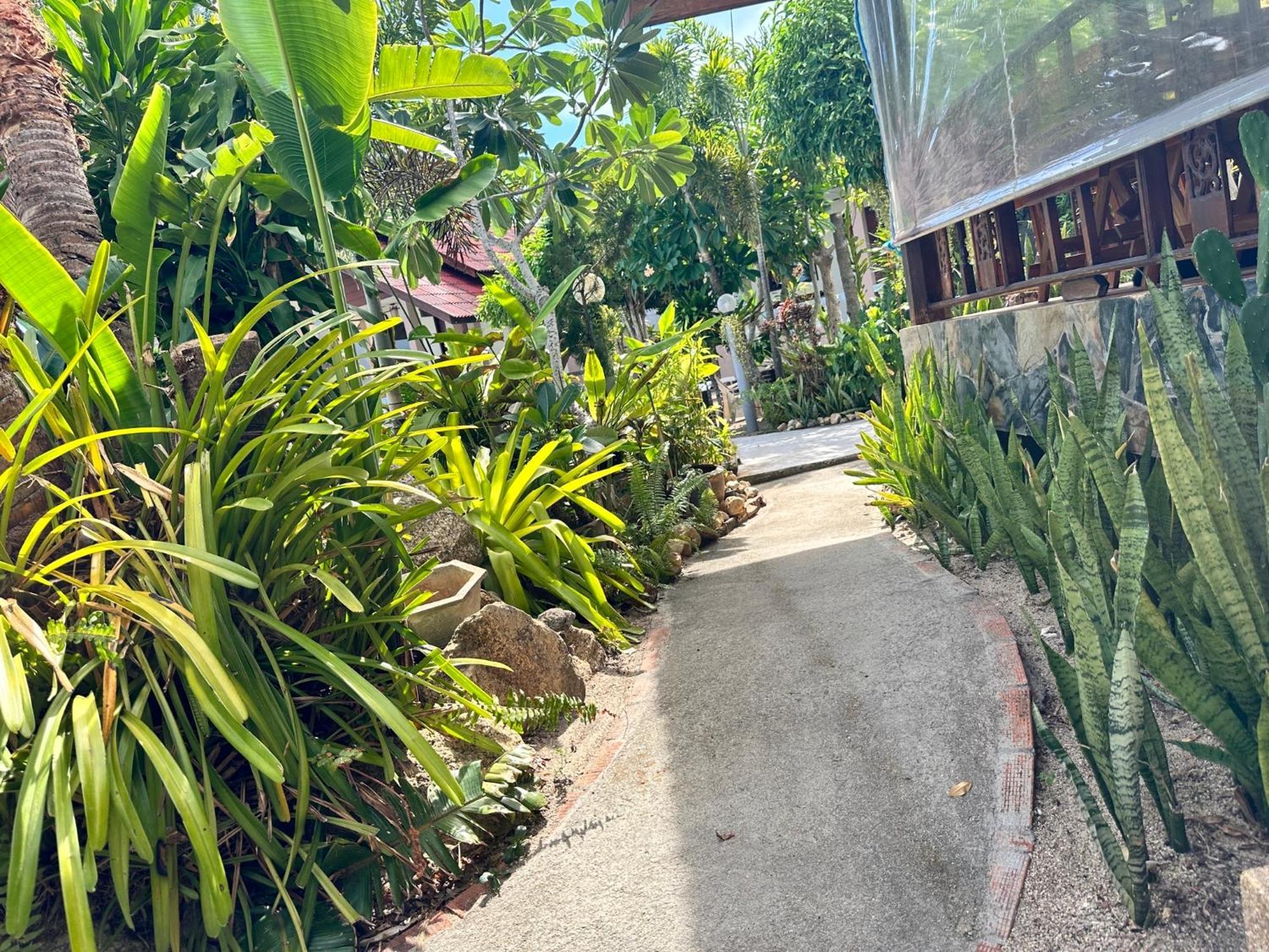 Phangan Lodge Баан Тай Экстерьер фото